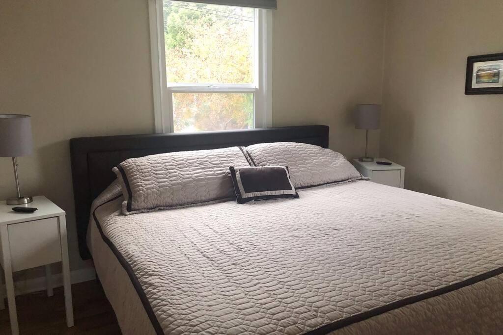 Cozy Crown Hill Carkeek Cottage W/3 Beds, Full Kitchen & Backyard In North Seattle Exteriér fotografie